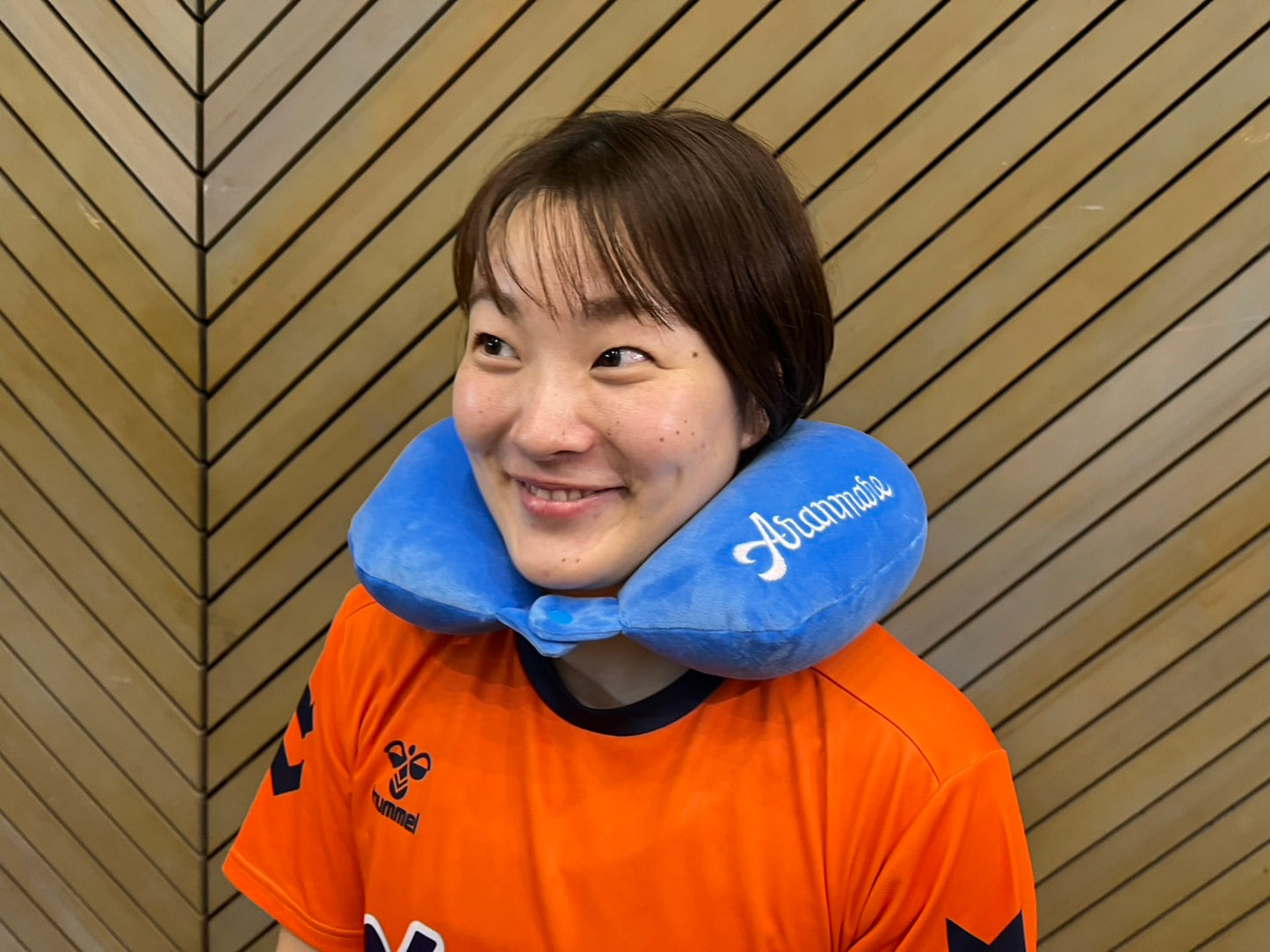 ✨NEW✨アラマぬいぐるみ型ネックピロー（2025）