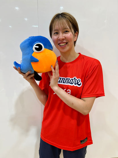 ✨NEW✨アラマぬいぐるみ型ネックピロー（2025）